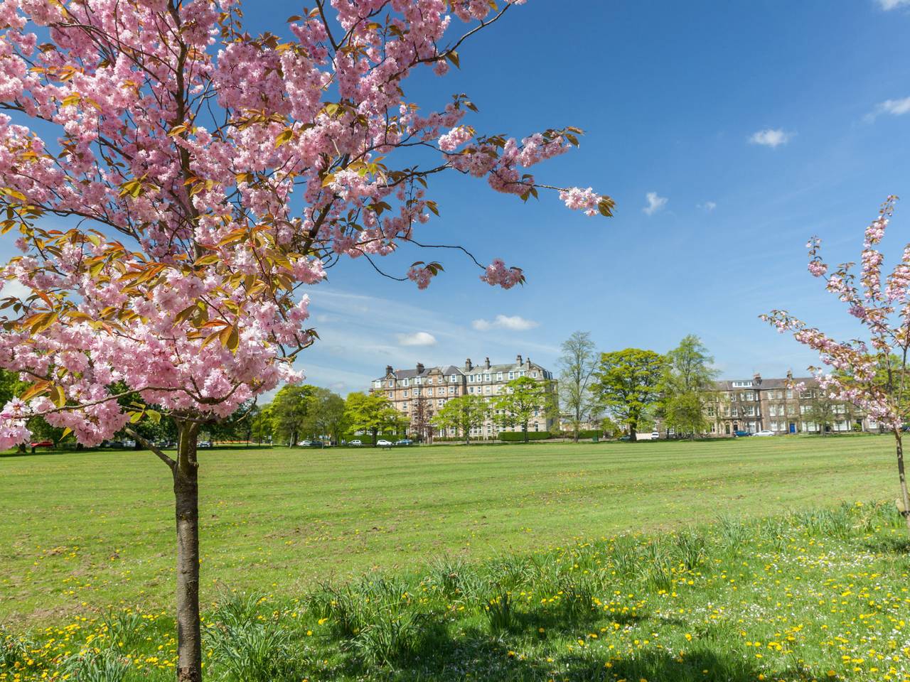 Appartement entier, The Regency in Yorkshire du Nord