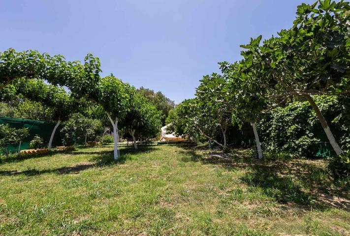 Camping für 8 Personen, mit Garten und Ausblick auf Kreta - 3