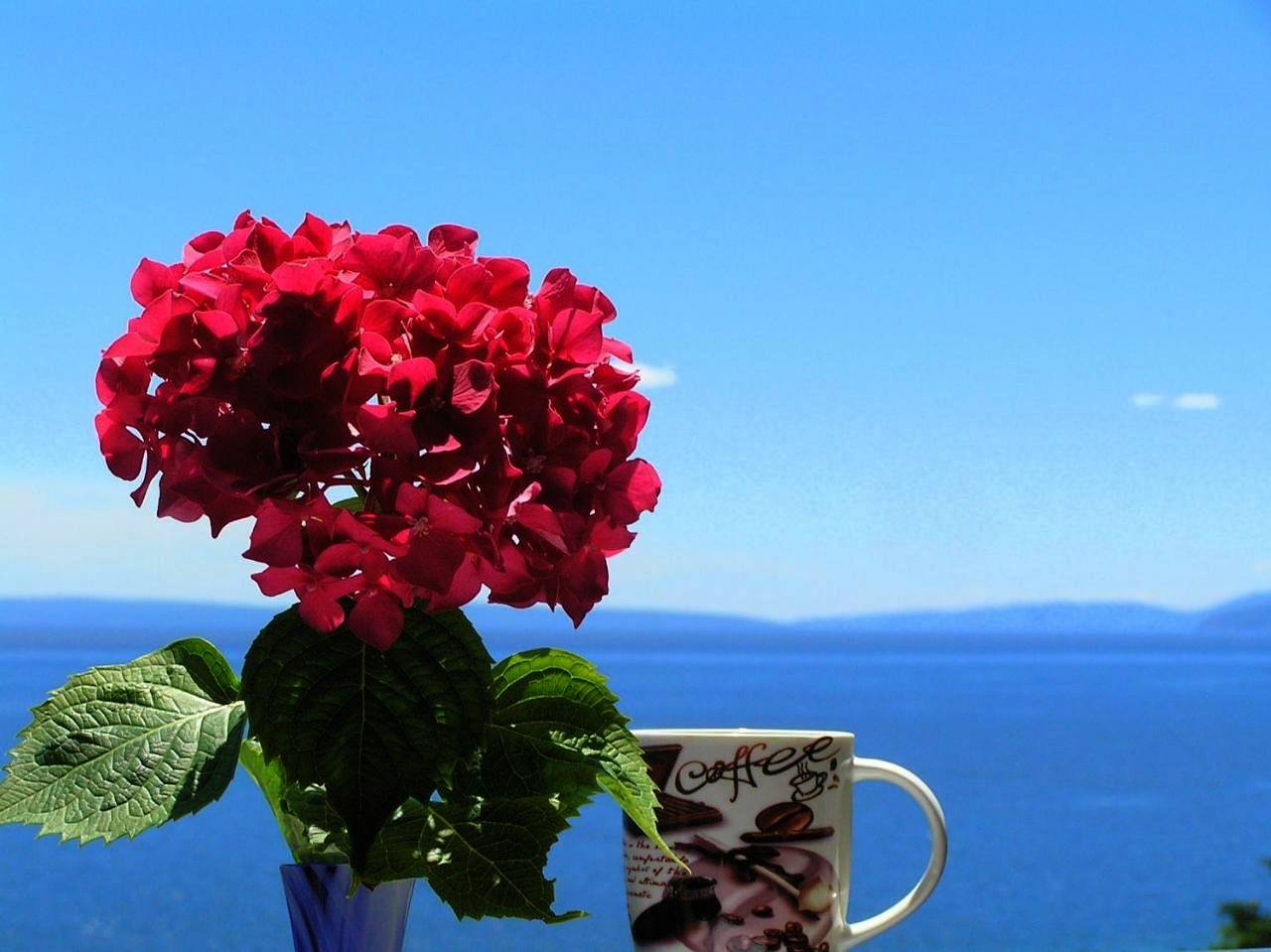 Guest House Lifestyle Holiday in Plaža Črnikovica, Opatija Riviera