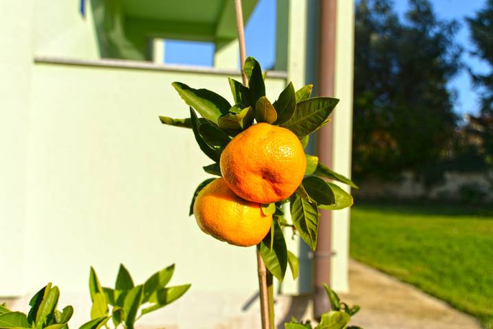 Apartamento entero, Apartamento de vacaciones para 4 personas con terraza in Banjole, Costa sur de Istria