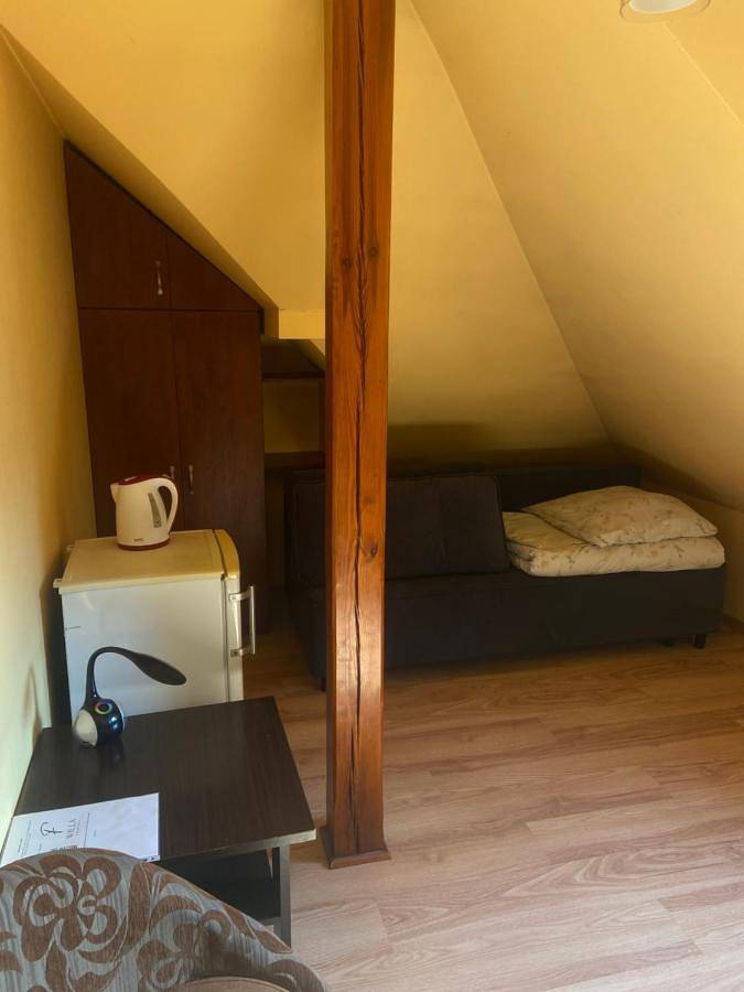 Cały apartament wypoczynkowy, Willa Faustynka in Nałęczów, Województwo lubelskie