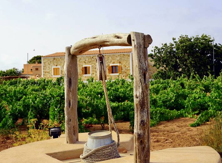Bungalow para 4 personas, con Terraza y Jardín en Formentera