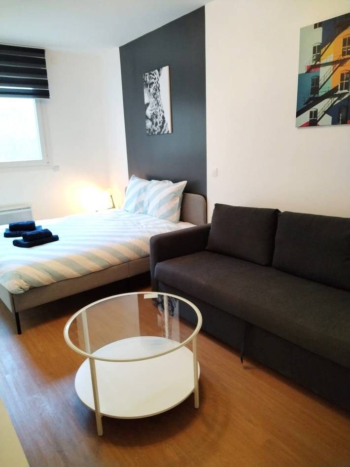 Appartement de vacances pour 4 personnes, avec jacuzzi, animaux acceptés dans le Cher - 3