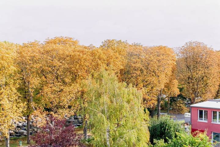 Appartement de vacances pour 4 personnes, avec Jardin à Saint-Ouen