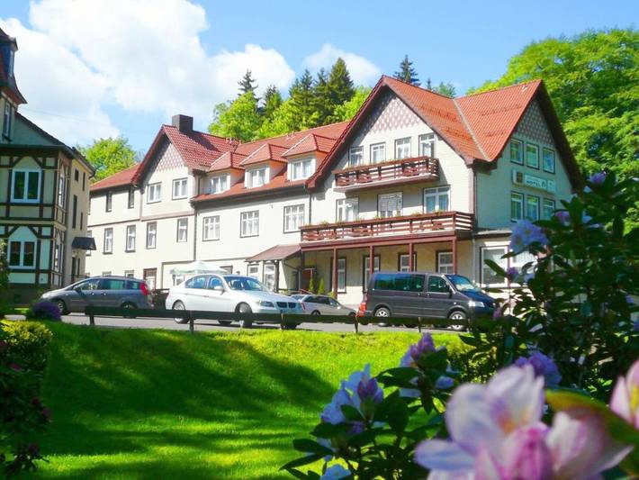 Hôtel pour 3 personnes, avec Terrasse ainsi que Jardin et Sauna dans Laucha