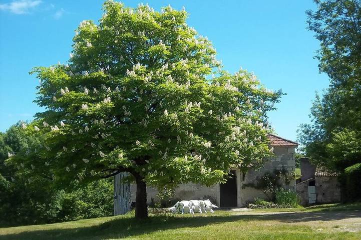 Gîte pour 8 personnes, avec jardin à Villesèque