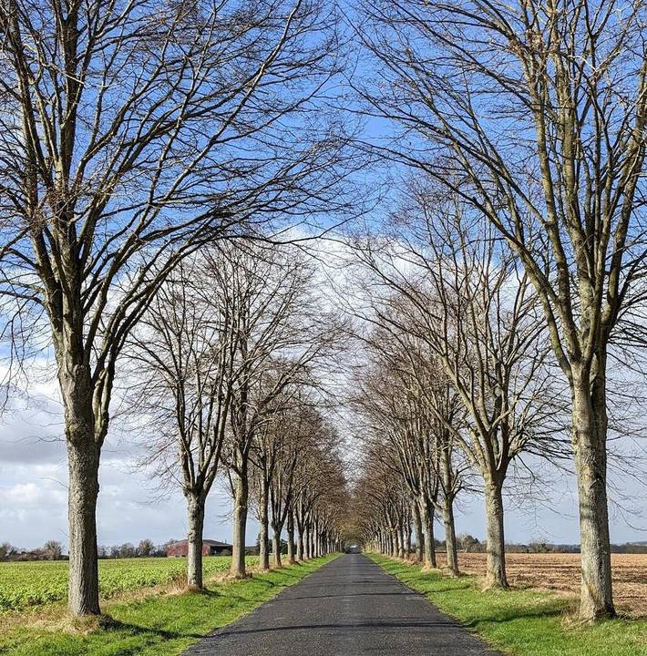 Location de vacances pour 10 personnes à Omerville - 3