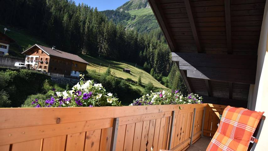 Gîte pour 10 personnes, avec balcon et jardin, animaux acceptés à Steeg - 4