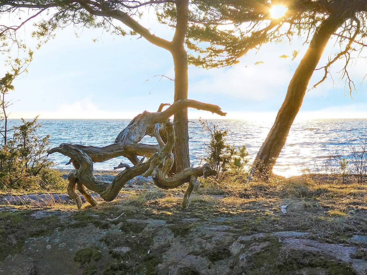 4 Personen Ferienhaus in Axvall-By Traum in Öglunda distrikt, Västergötland