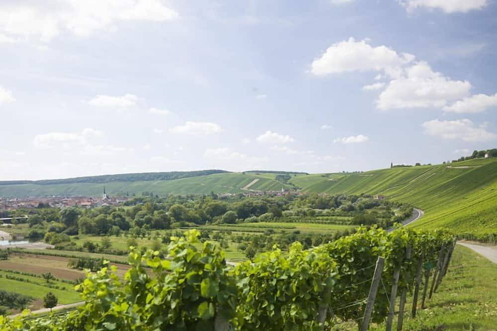 Ganze Wohnung, Gemütliches 1-Zimmer-Appartment (30qm) mit Küchenzeile in Nordheim am Main, Fränkisches Weinland