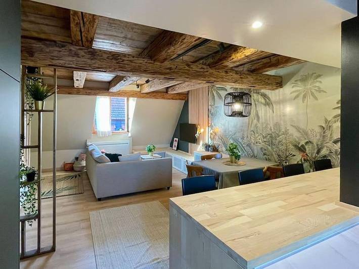 Gîte pour 4 personnes, animaux acceptés à Barr - 3