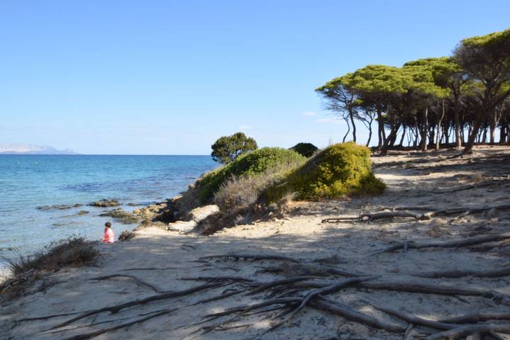 Gîte pour 6 personnes, avec balcon à Tanaunella - 4