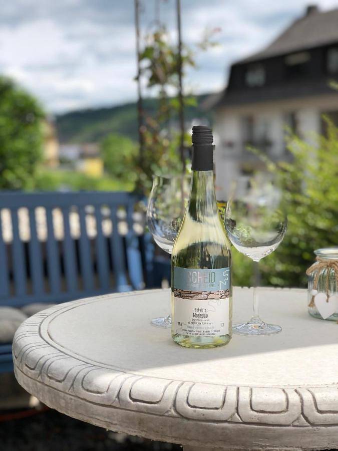 Ferienwohnung für 3 Personen, mit Terrasse und Ausblick in Sankt Aldegund - 2