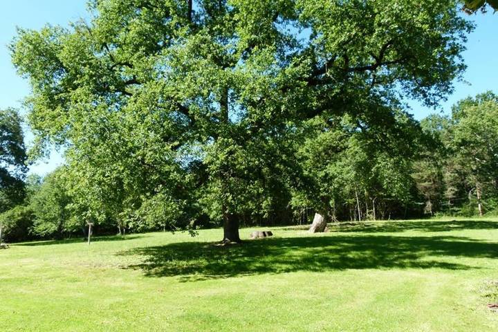 Location de vacances pour 6 personnes, avec Terrasse ainsi que Jardin et Vue à Mérigny