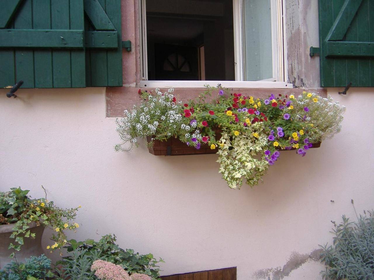 Appartement entier, Charmant petit appartement en Alsace in Bouxwiller, Région de Saverne