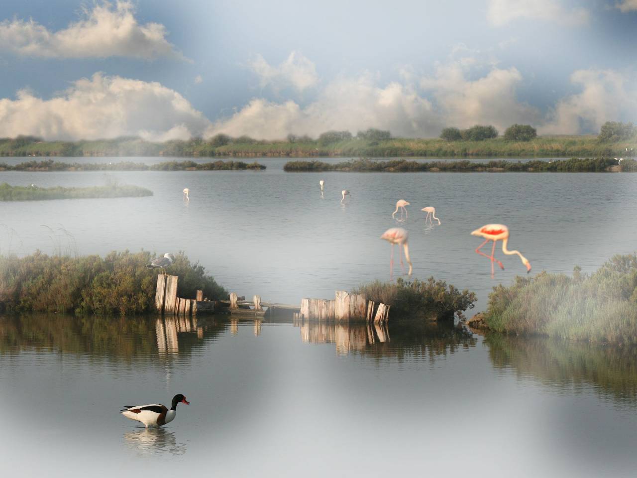 Eckhaus in Lido Di Volano, großer Innenhof, Grillplatz in Comacchio, Ferrara Provinz