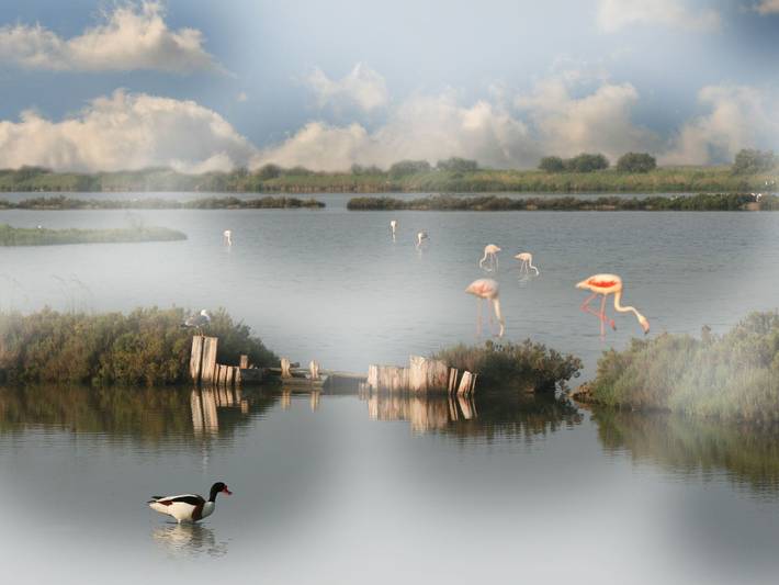 Ferienhaus für 6 Personen, mit Garten