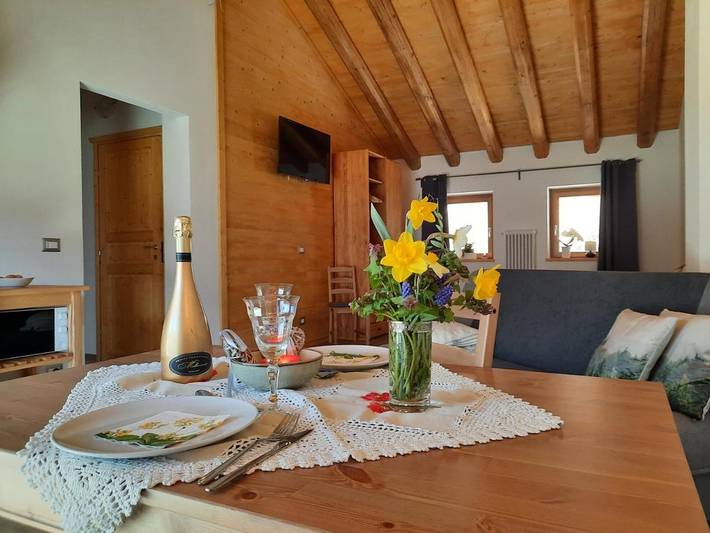 Appartamento vacanze per 4 persone, con panorama e vista lago nonché giardino, con animali domestici - 1