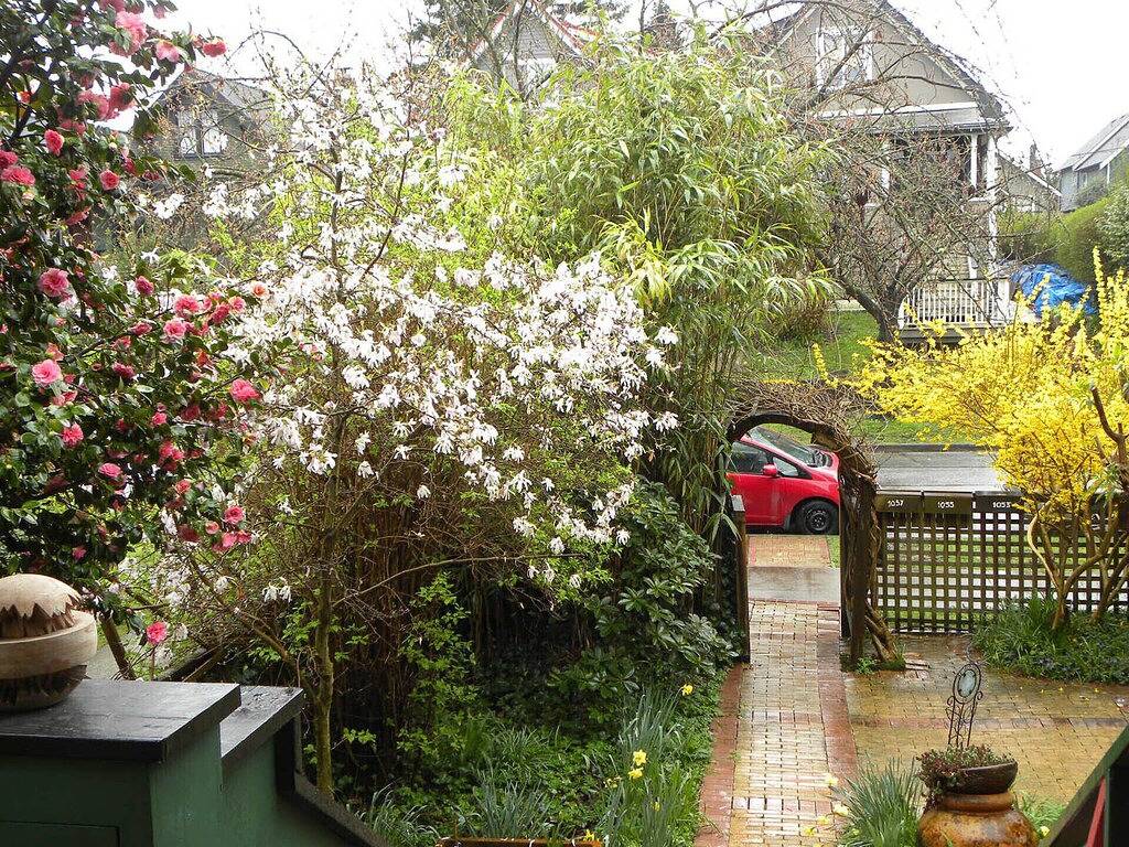 Wunderschönes viktorianisches Haus im Zentrum von Vancouver! in Vancouver, British-Columbia