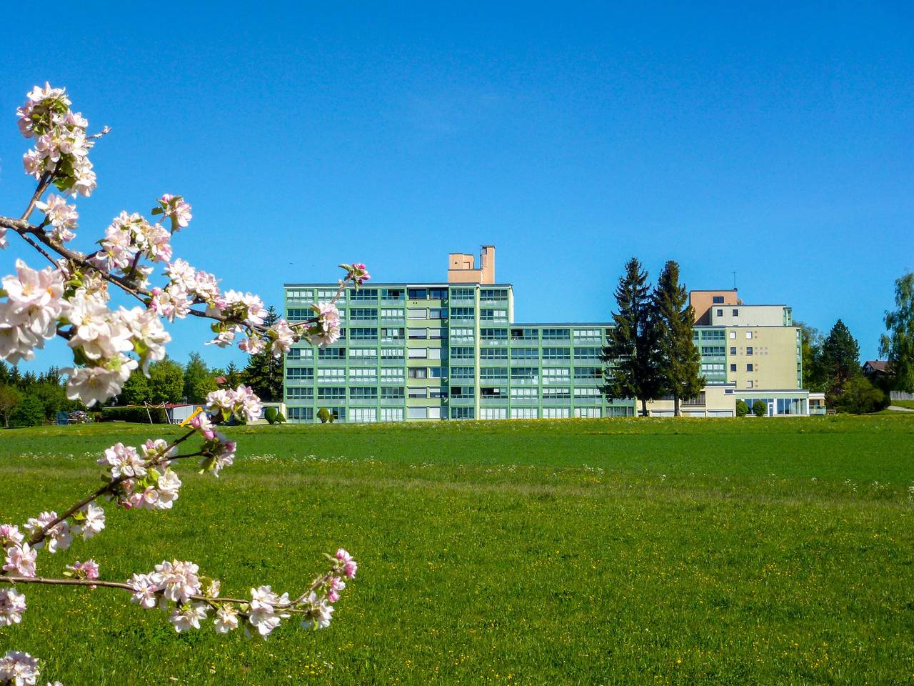 Ganze Wohnung, Buntspecht (G 25) in Dittishausen, Löffingen