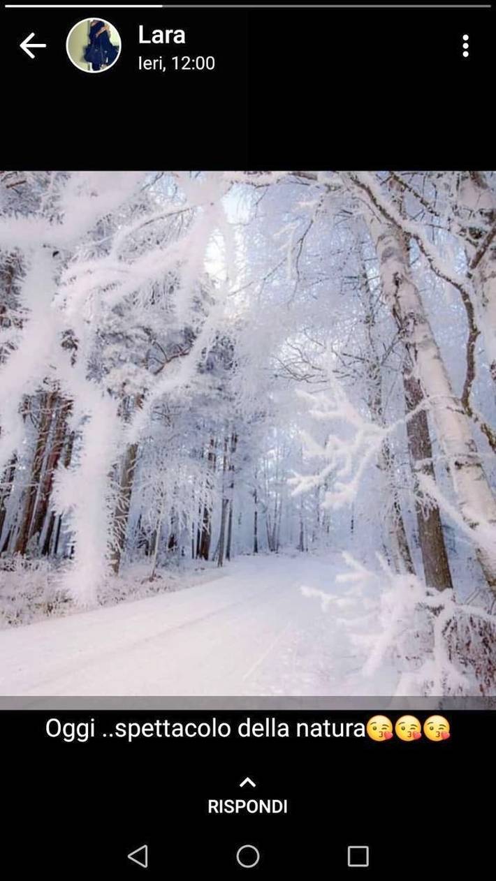 Gîte pour 3 personnes, avec vue et terrasse à Sappada - 3