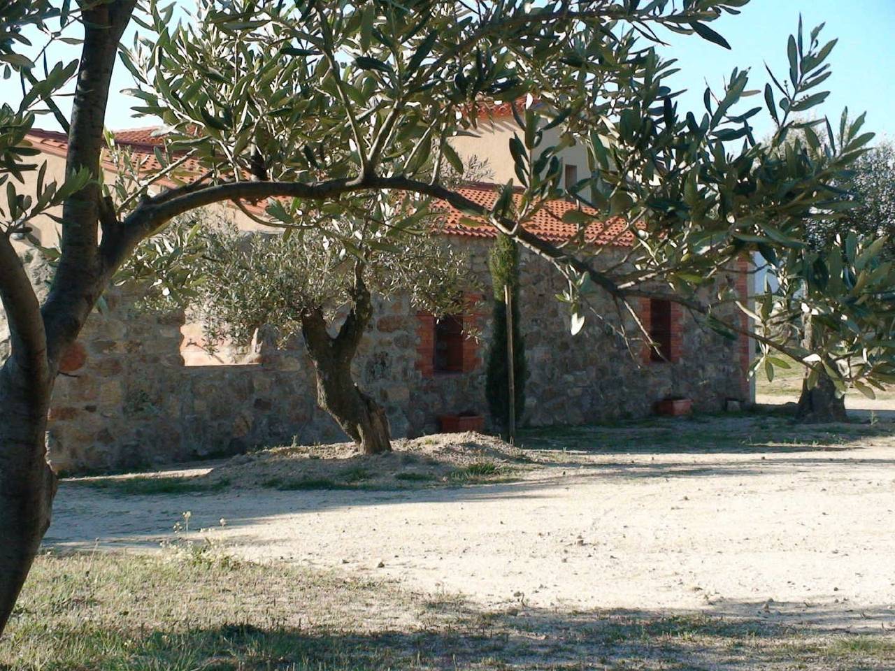 Gîte et oliviers in Ille-sur-Têt, Costa mediterránea (Francia)