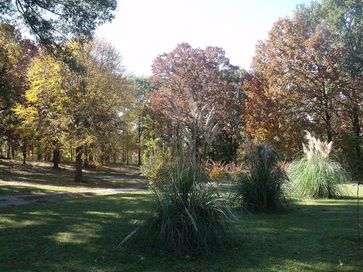 Log cabin for 8 people, with yard in Arkansas