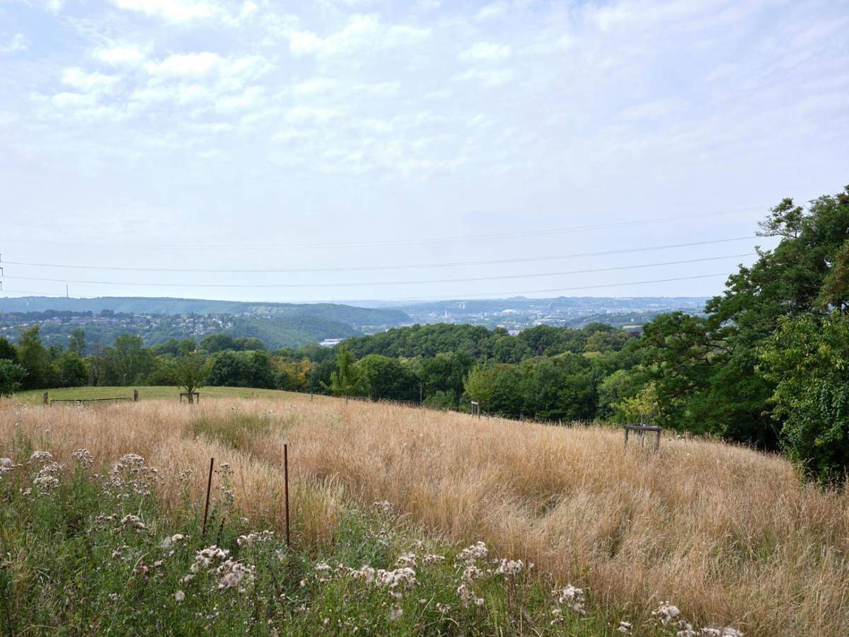 La tanière in Chaudfontaine, Région de Liège