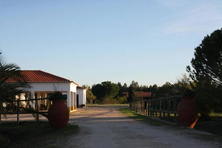 Gästehaus für 2 Personen, mit Balkon und Terrasse sowie Garten und Pool in Alentejo - 4