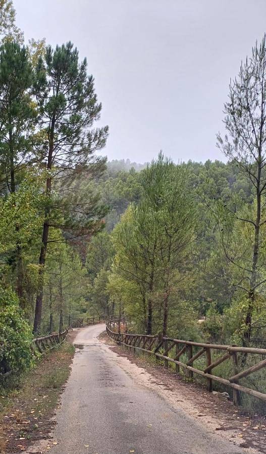 Camping para 4 personas, con jardín y vistas, Se admiten mascotas en Sierras del Segura - 2
