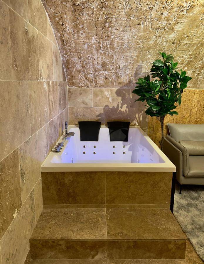 Location de vacances pour 2 personnes, avec jacuzzi et jardin à Feyzin - 3