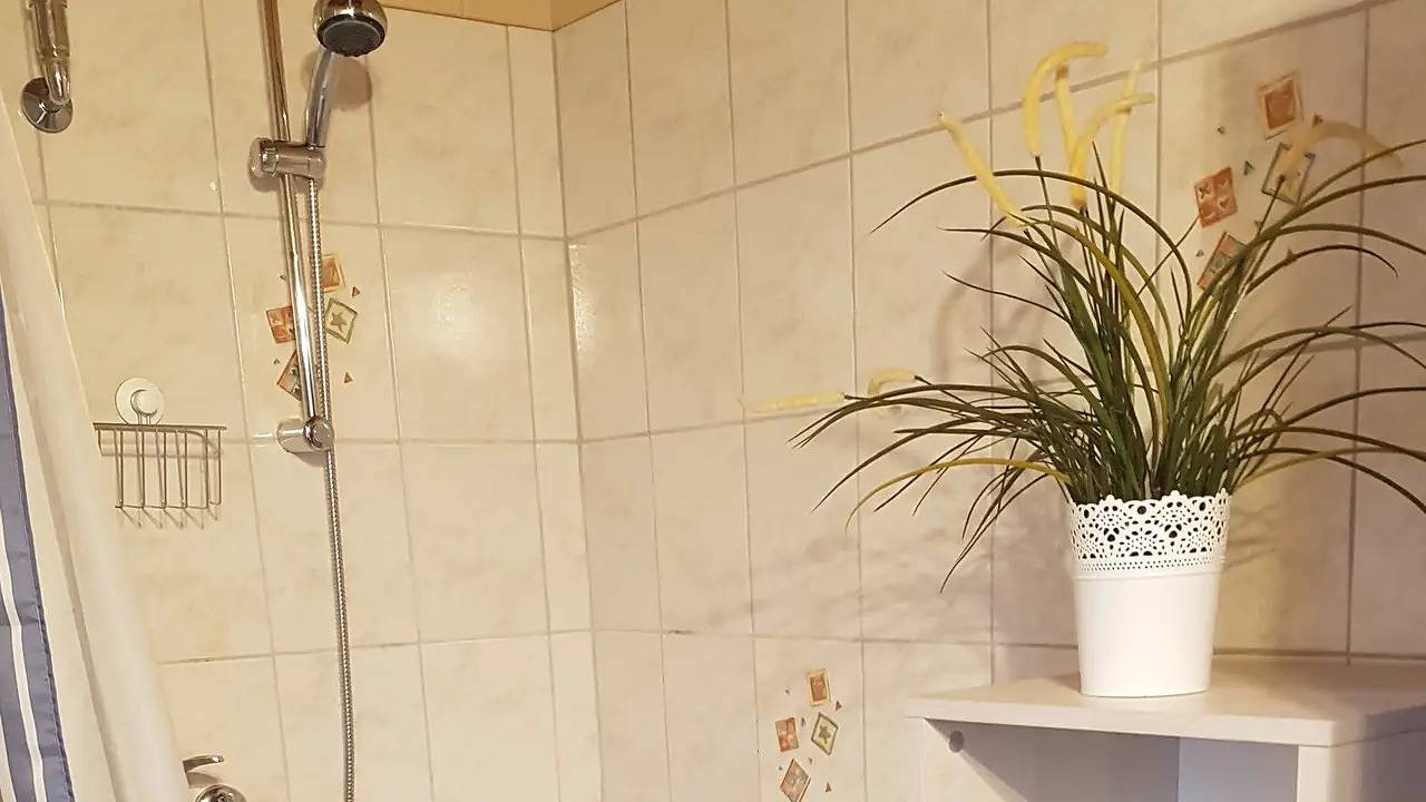 Ganze Ferienwohnung, Ferienwohnung für 2 Personen (44 m²) in Meschede in Meschede, Hochsauerlandkreis