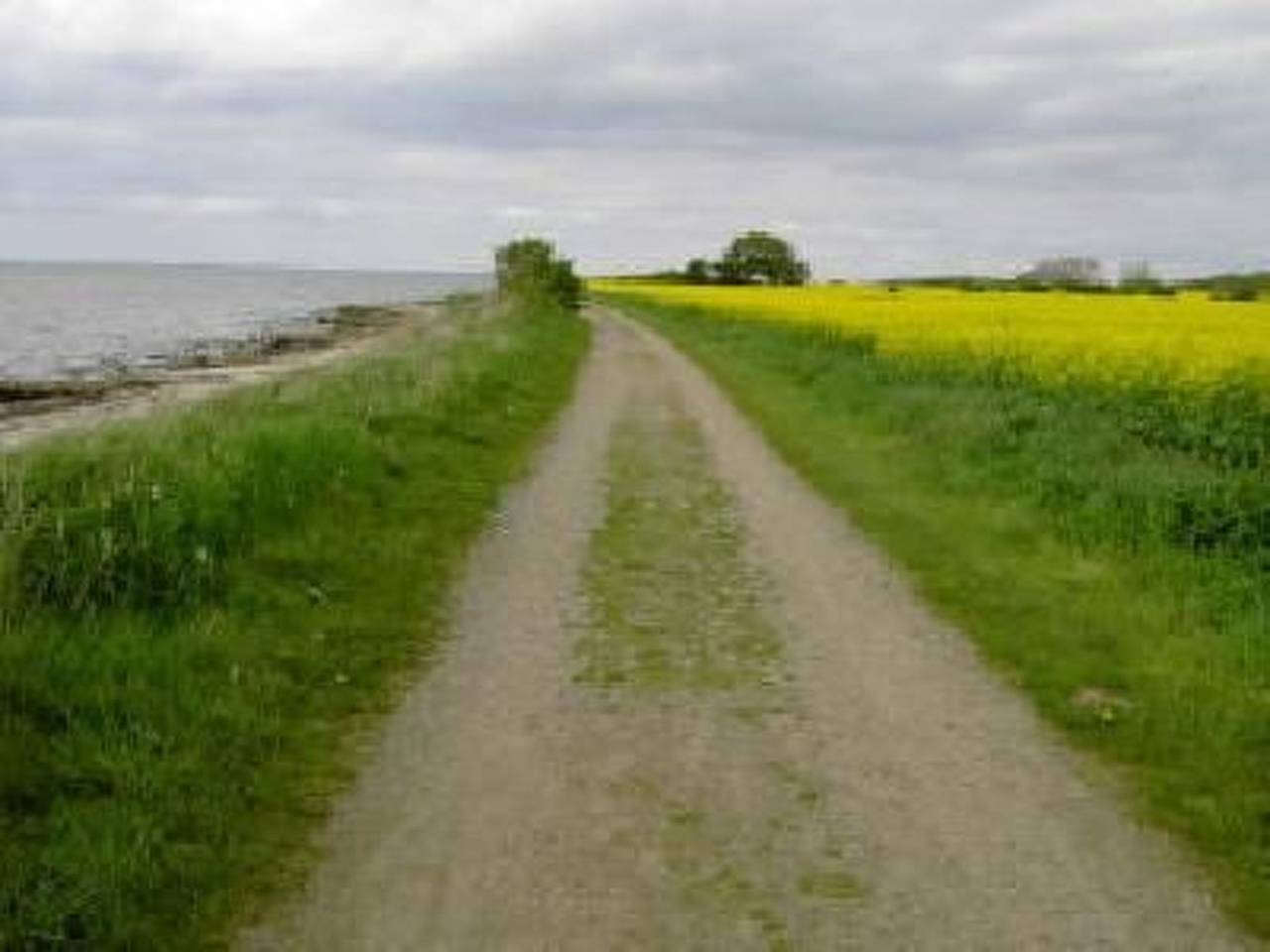 Dänemark in Gelting, foto 11