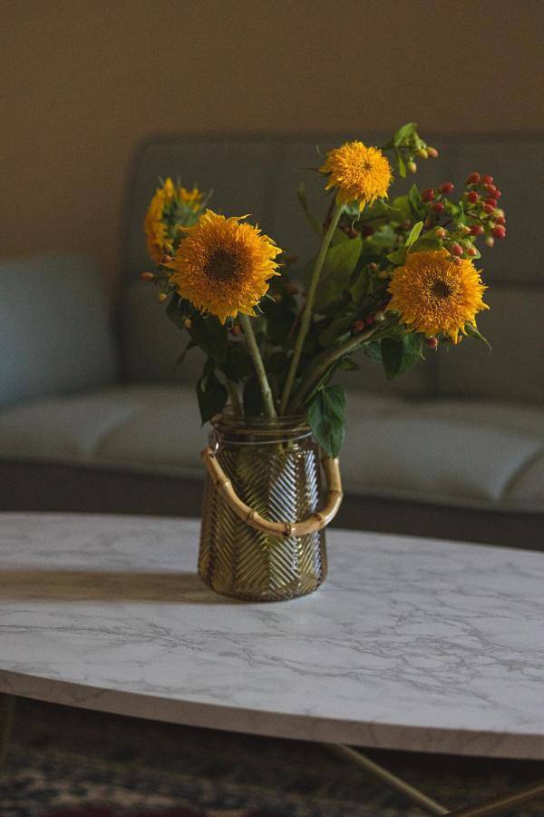 Residenza D'Epoca Il Grifoncello in Montepulciano, Siena e dintorni