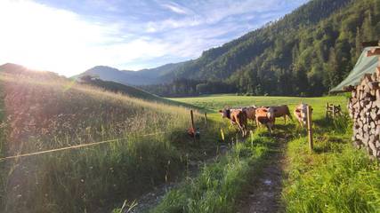 Ferienwohnung für 2 Personen in Schneizlreuth, Bayerische Alpen, Bild 1