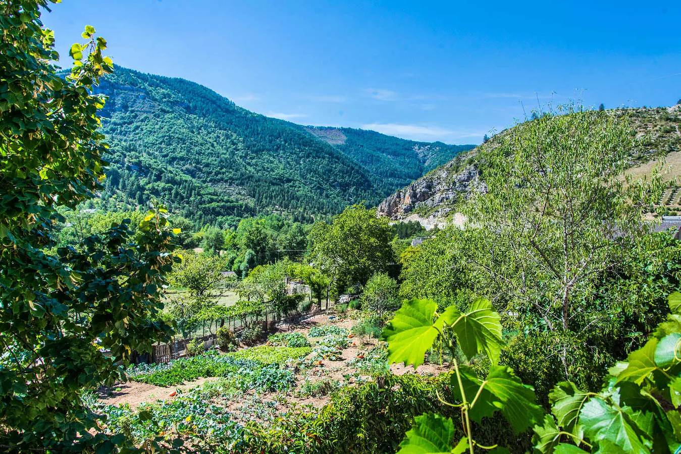 Gîte de France for 5 people in Gorges du Tarn Causses, Cévennes
