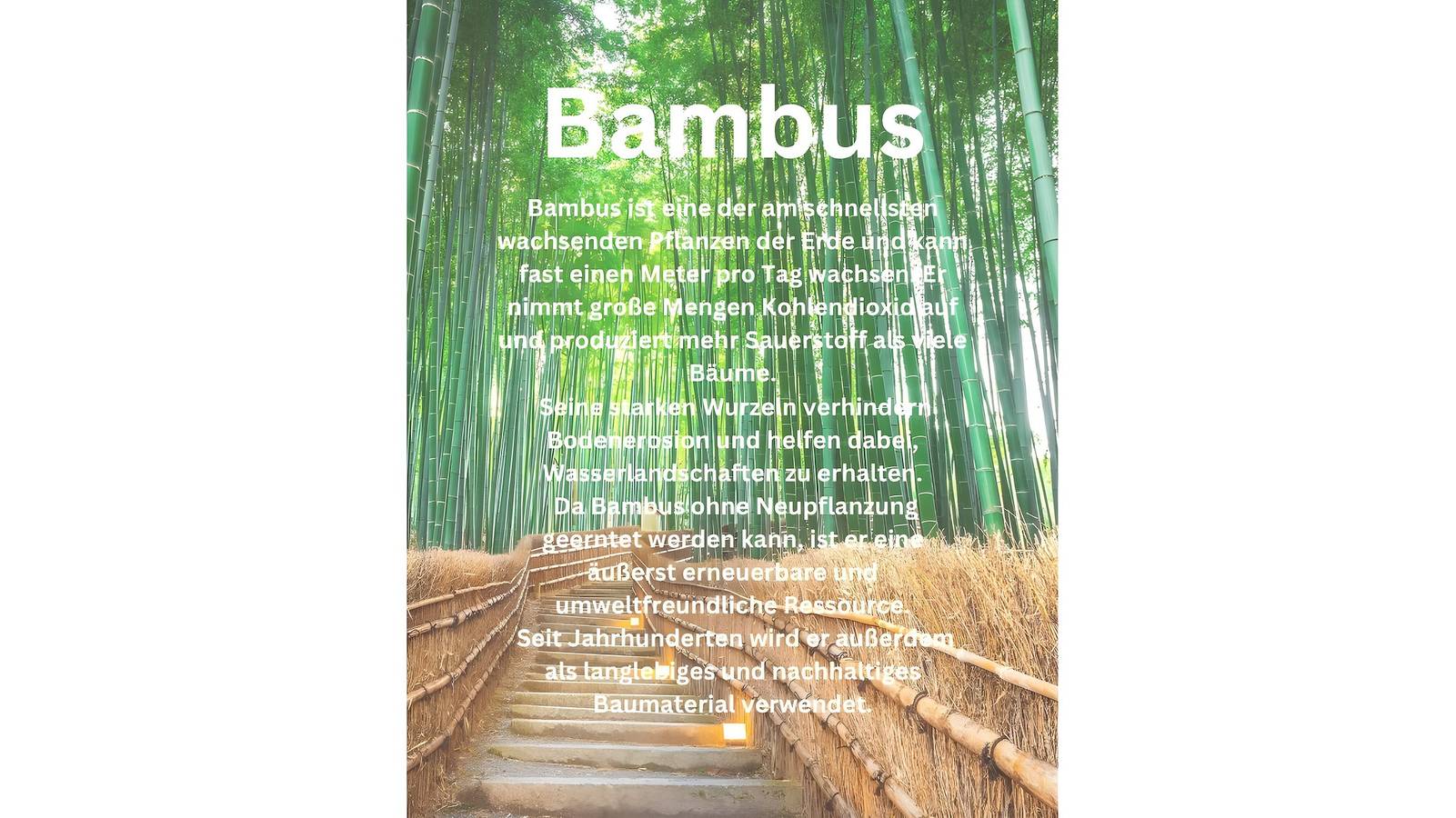 Ganze Wohnung, Apartment Nature House Bamboo – Leichtigkeit & Komfort mit Bergblick in Stubaier Alpen, Brenner