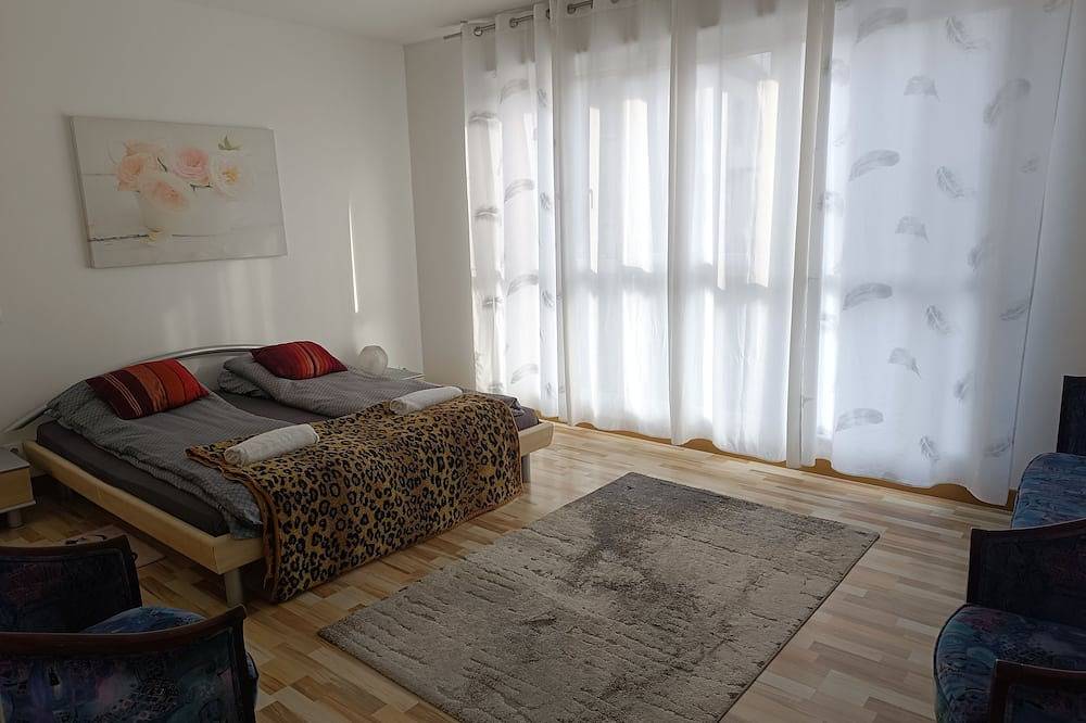 Entire apartment, Large 3-bedroom apartment 175m2 Ground floor of 3 Frontier in Hésingue, Mulhouse region