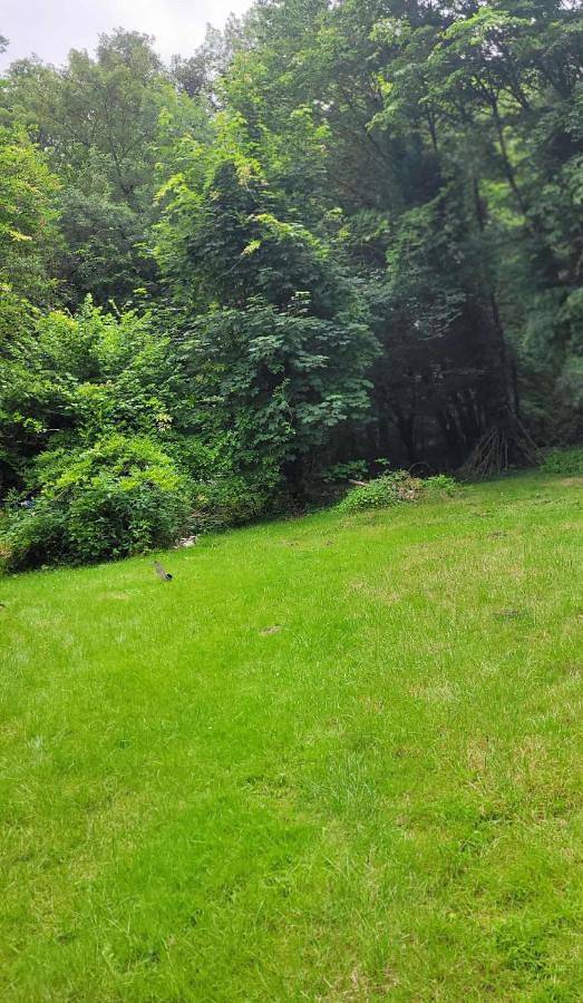 Maison de vacances pour 4 personnes, avec terrasse et jardin, animaux acceptés