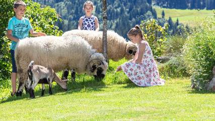 Ferienwohnung für 2 Personen in Fieberbrunn, Kitzbüheler Alpen, Bild 3