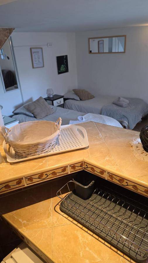 Appartement entier, Studio atypique avec Piscine à partager en option in La Ferté-Gaucher, Seine-et-Marne