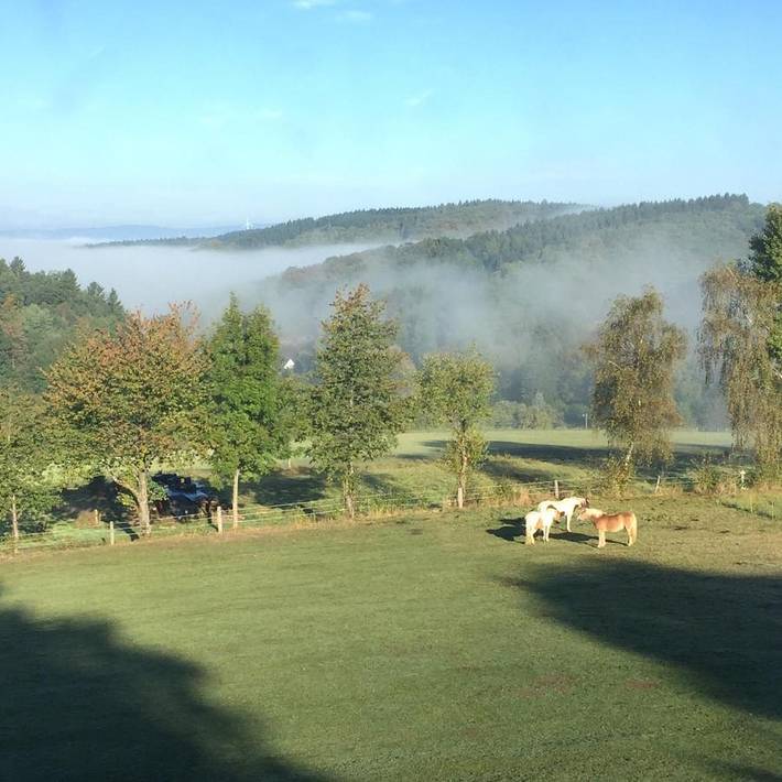 Ferienwohnung für 3 Personen, mit Terrasse und Garten sowie Ausblick in Olpe