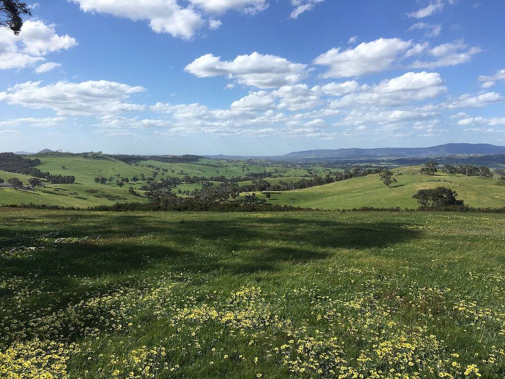 130 Hektar Farm bleiben eine Stunde von Melbourne Cbd in Shire of Mitchell