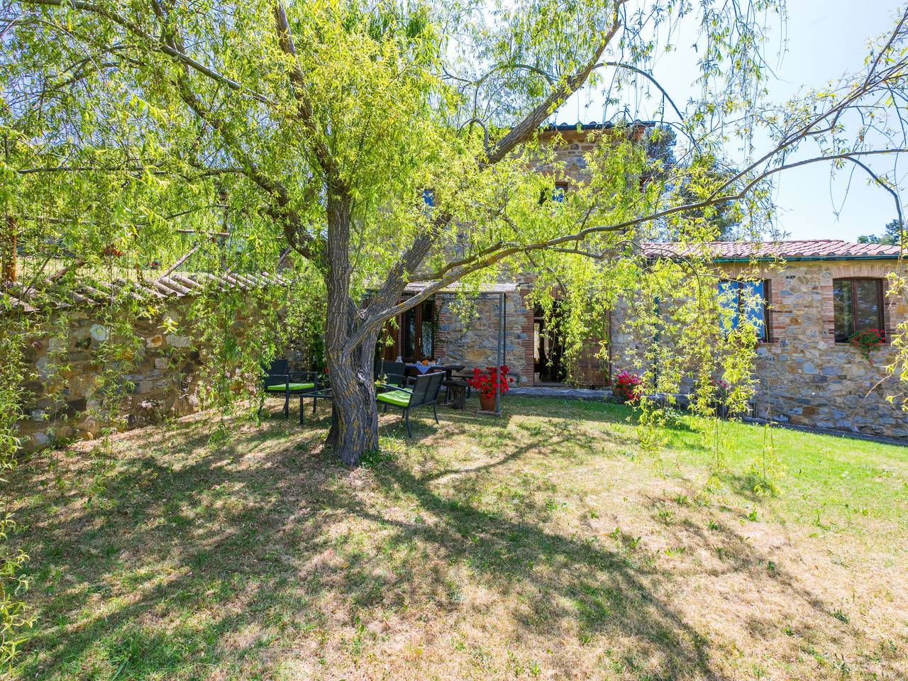 Pino di Sopra in Riserva Naturale di Monterufoli