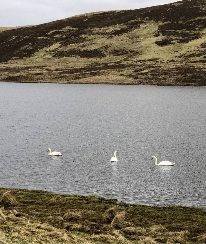Camping pour 4 personnes, avec jardin et vue sur le lac