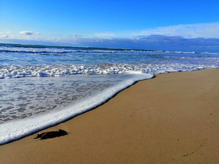 Location de vacances pour 6 personnes, avec terrasse, animaux acceptés à San Pietro In Bevagna - 2