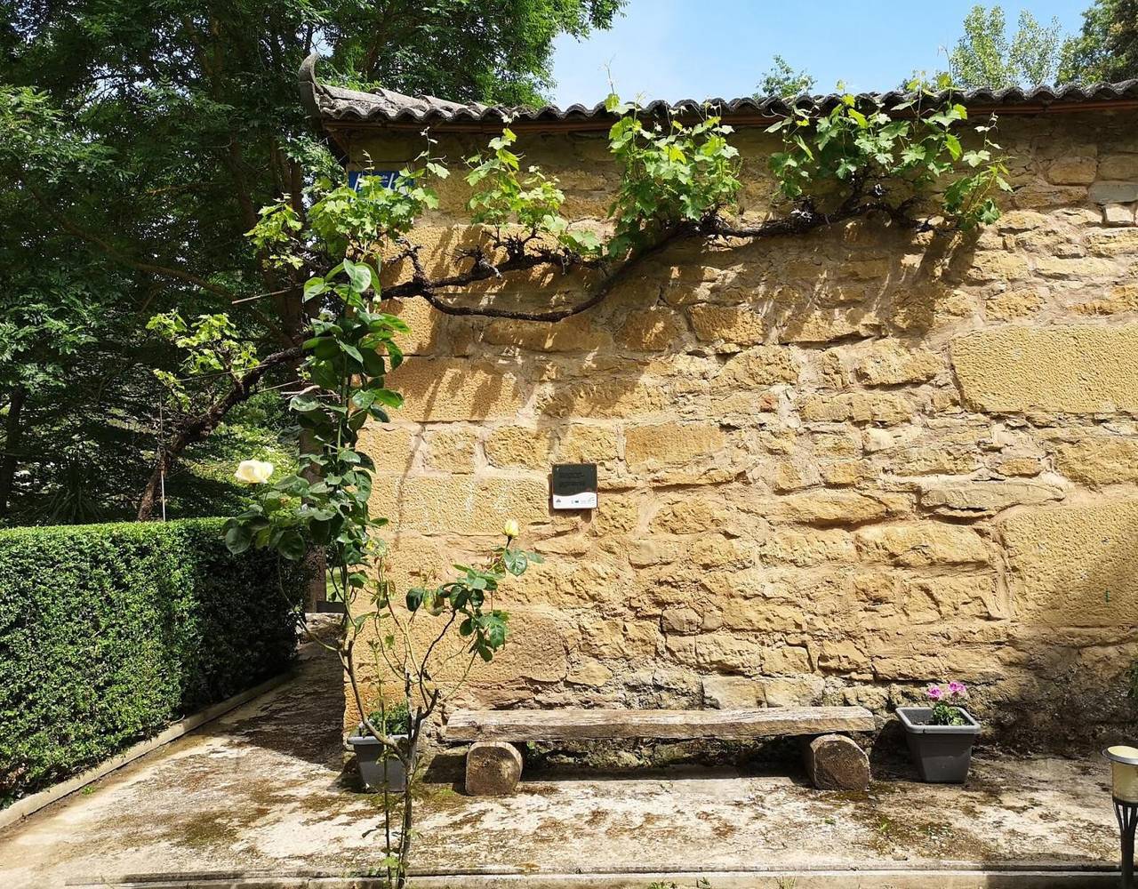 Landelijk huis 'Ardetxal' met bergzicht en privé tuin, foto 7