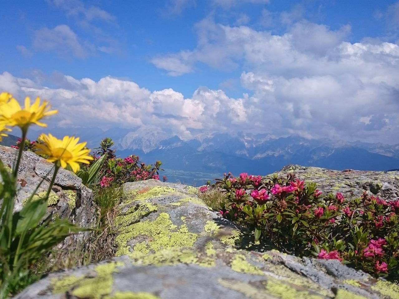 Ganze Ferienwohnung, Ferienwohnung Dolthof in Tuxer Alpen, Weerberg