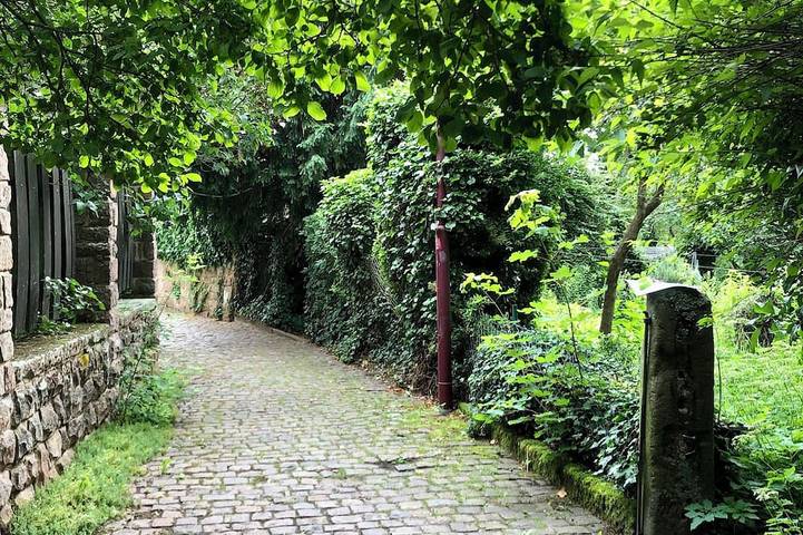 Ferienwohnung für 4 Personen, mit Terrasse in Rhodt unter Rietburg - 4