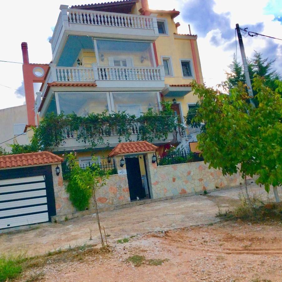 Family holidays, near Athens, airport, port and sea in Artemi, Côte est de la région de l'Attique